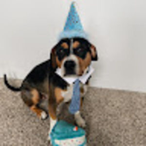 Meet your Posher, Karli